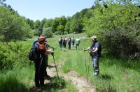 Colli_Pirilli_2giugno2018 (21)